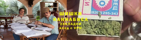 ПСИЛОЦИБИНОВЫЕ ГРИБЫ Пересвет