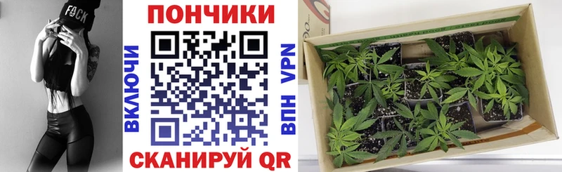 кракен зеркало Луза Конопля гибрид магазин продажи